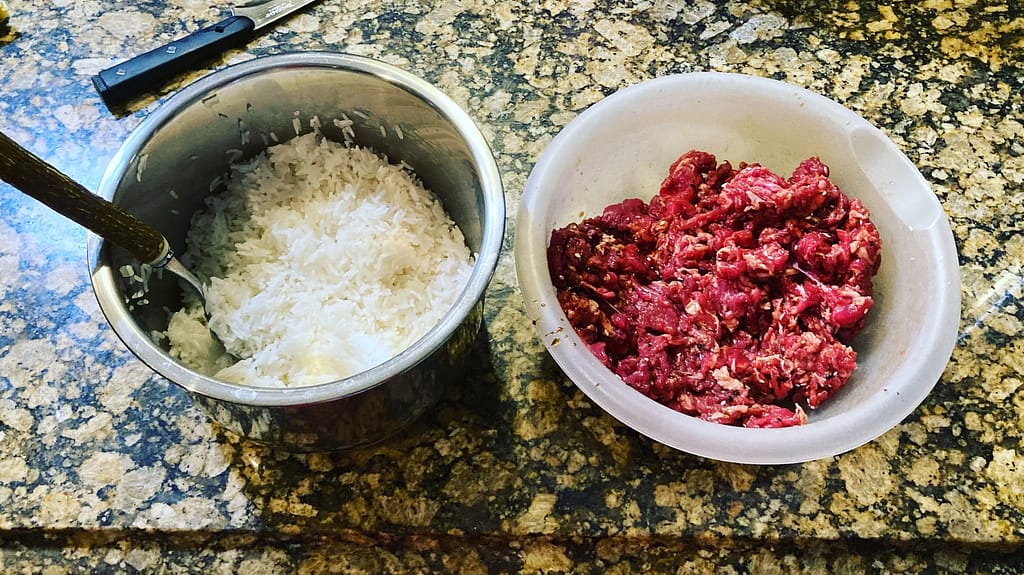 marinated-beef-and-day-old-rice